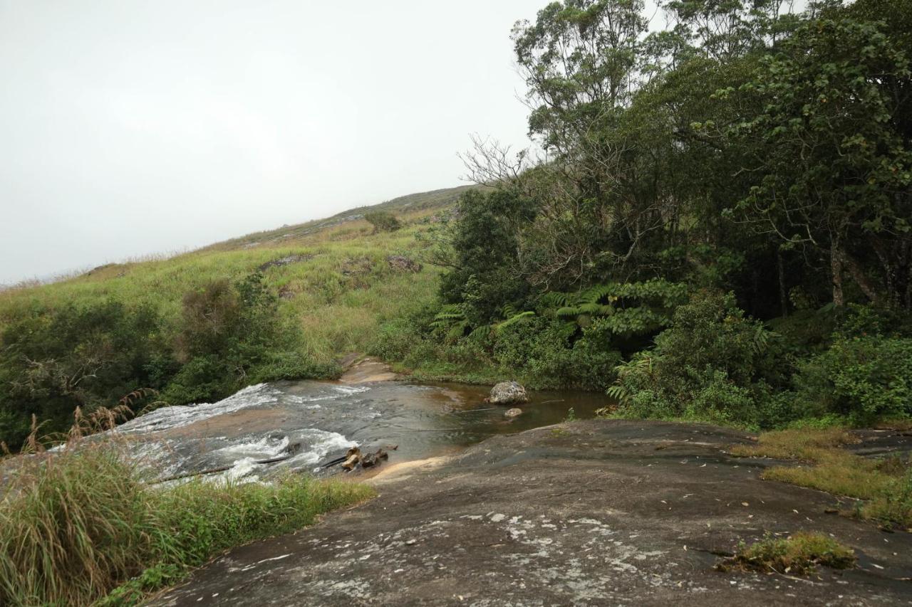 Chancellor Resort Munnar Dış mekan fotoğraf